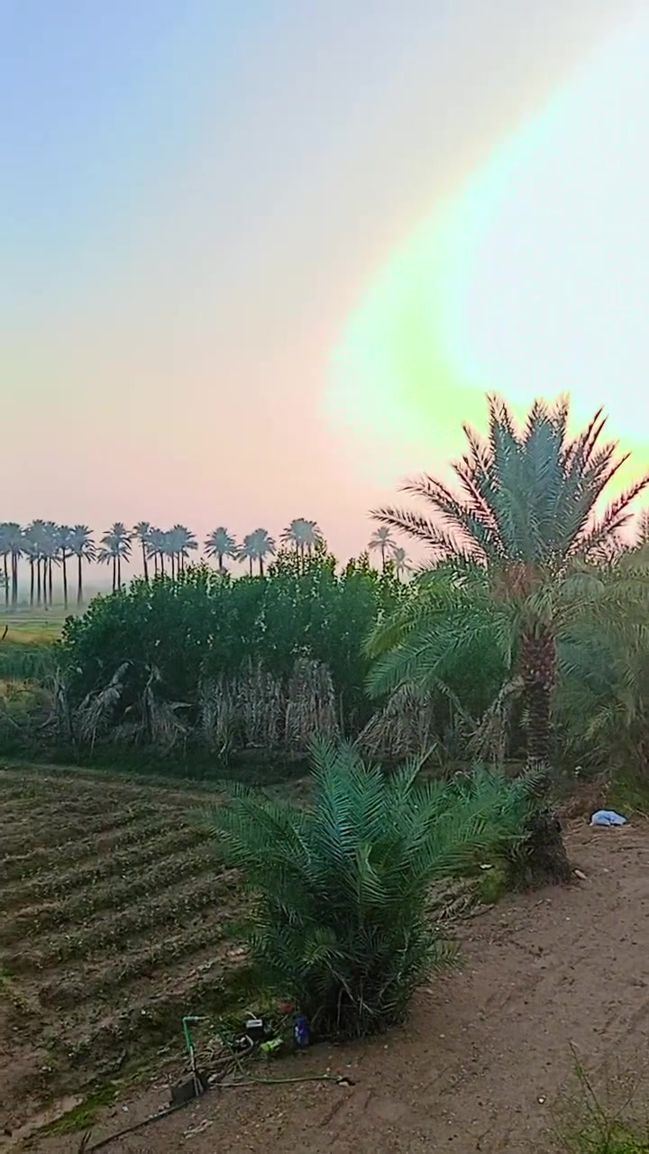 مزرعه مساحته دونم ونص المكان النعمانيه الكراده 
جنس الارض 117 
الاستفسار ‏‪***********‬‏
