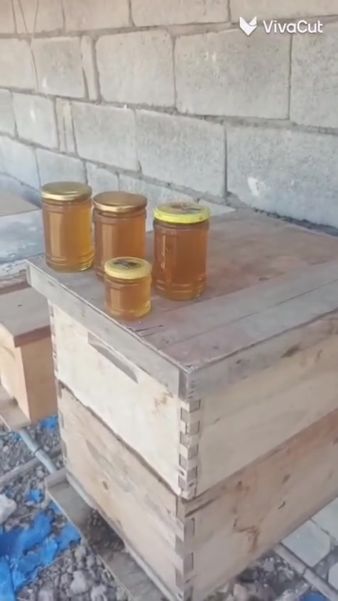 سلام عليكم عسل للبيع 🐝🐝🐝🐝🐝 عسل طبيعي شرط الفحص المكان ديالى بدوانيه مقابيل الاسود الاستفسار على هذه الرقم ***********

