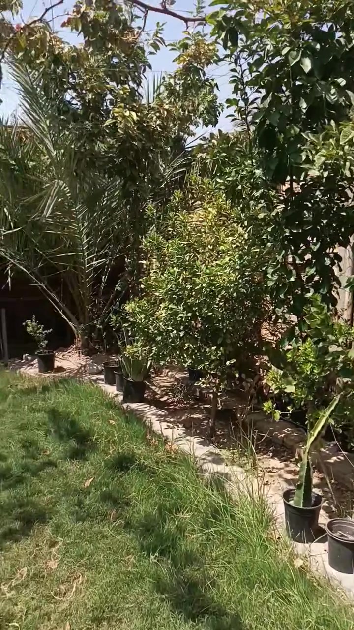بابل حله • ٥٢٠م • ٤ غرف نوم