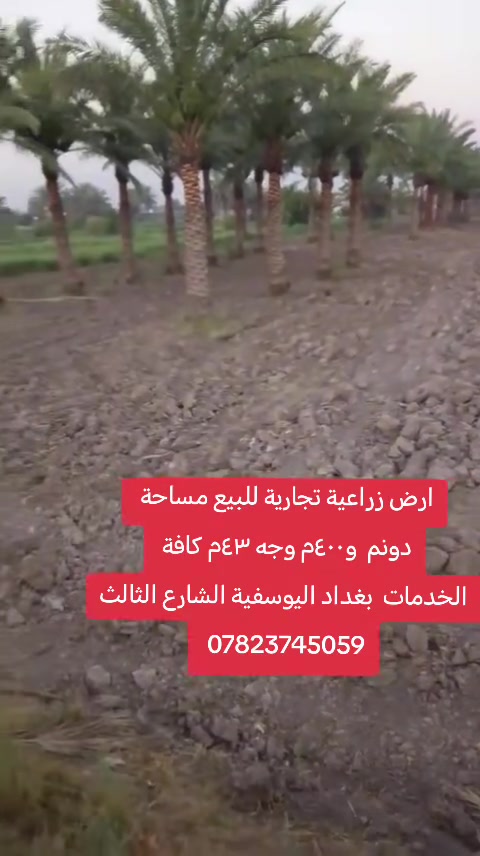 لكل من يبحث عن موقع مميز 😊✋
♦️ ارض زراعية للبيع دونم و٤٠٠م. وجه ٤٣متر نزال ٦٨م
♦️ طابو زراعي سند 25 من اصل ٥ دونم فقط بالسند
♦️ يحتوي ع كافة الخدمات مع اشجار نخيل
الموقع بغداد اليوسفية شارع العام بئر الحمام الرابط مع السريع الدولي
استفسار
***********-***********
#نستقبل_كافة_العروض_بيع_شراء
