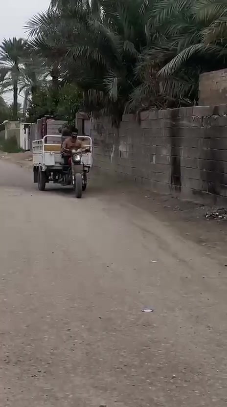 ستوته • بدون أوراق • نضيفه