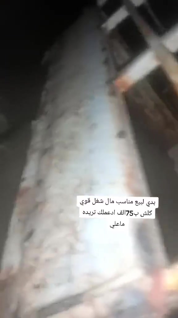 رقمي ***********
