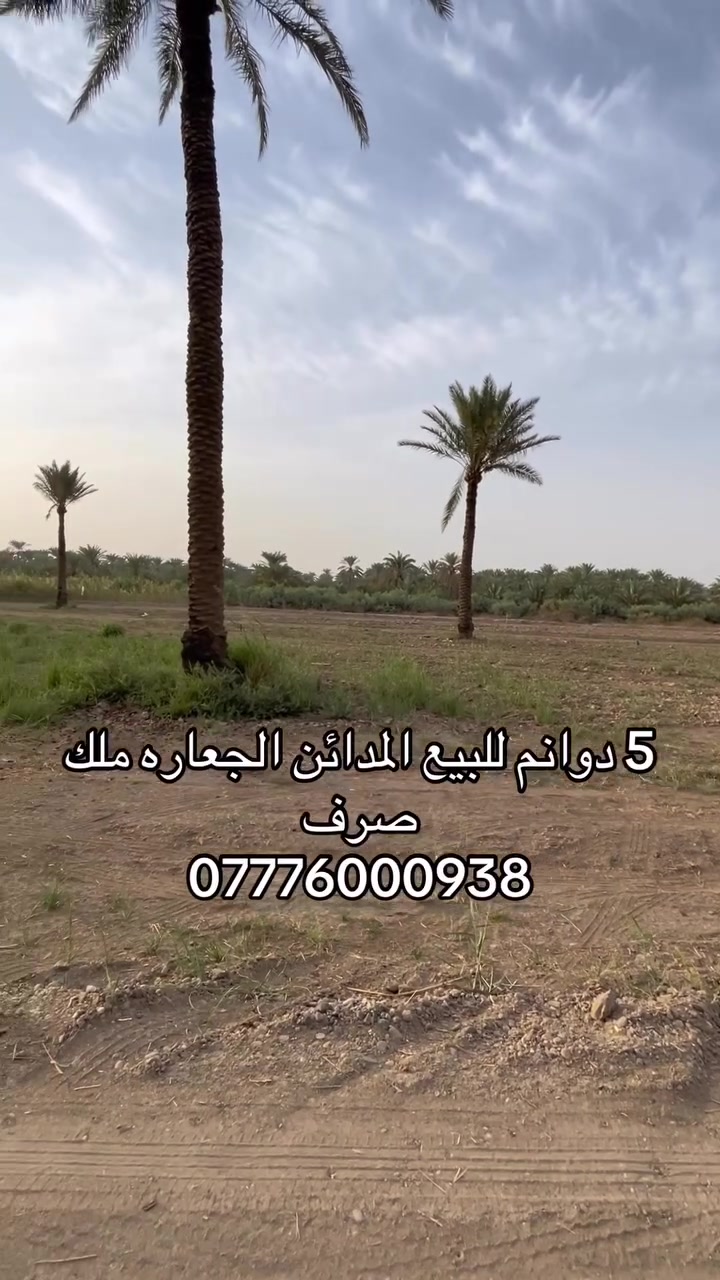 المدائن الجعاره • ٥ دوانم • ملك صرف