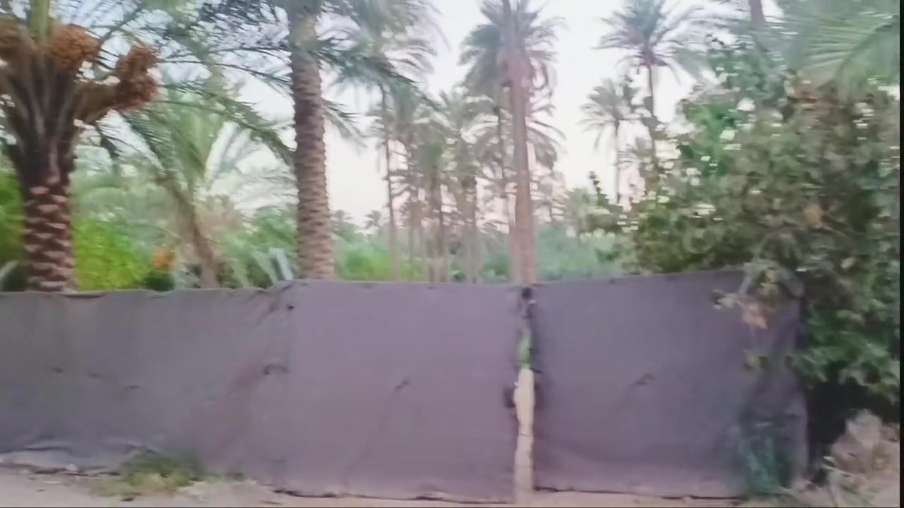 بستان للبيع مساحه دونم و 190 متر المكان  كربلاء شارع بغداد عامود 54 قرب مطبخ العتبه خلف جامعه الزهراء نوع العقار طابو زراعي  سند 25
‏
‏ للاستفسار الاتصال على الرقم
‏***********
‏***********
‏***********

