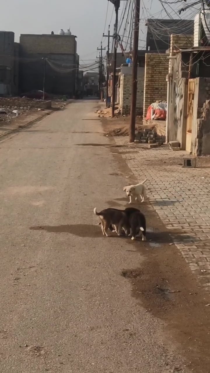 السلام عليكم بيت للبيع بسعر مناسب ويرهم اقصاد 
كامل التفاصيل داخل الفيديو للاستفسار الاتصال عبر الرقم ***********
