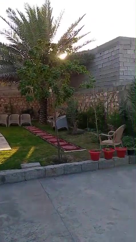 كوفه • ٦٠٠م • مفروش
