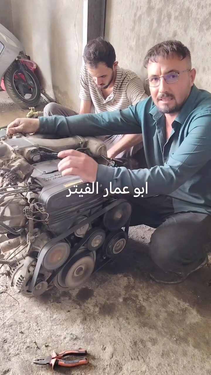 محرك بطه • كارتون • كفالة