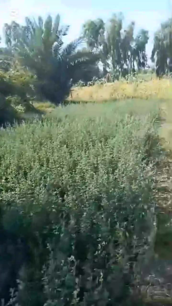 بيت للبيع في ابو غريب شارع التله عل شارع صاير  بي غرفتين نوم  5×4 المطبخ 6×5 الصاله 7×4 المضيف 8×5 حمام 2×1.5 ومساحت البيت 160م معا ارض دونم ونص عقد 17 مزرعه مرتبه وموقعهه حلو عل شارع ابو _غريب_ شارع التله السعر 135مليون  وبيهه مجال للطيبين للتواصل على هاذا الرقم وبي وتساب 👈‏‪***********‬‏
