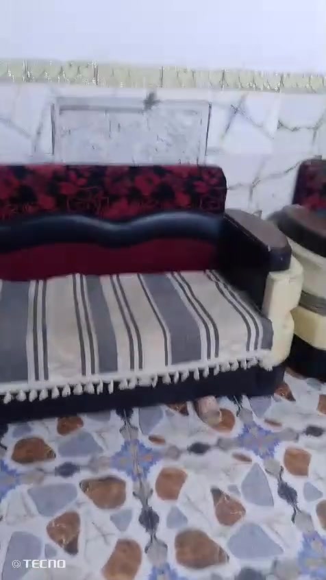 ***********تخم للبيع السعر خاص
