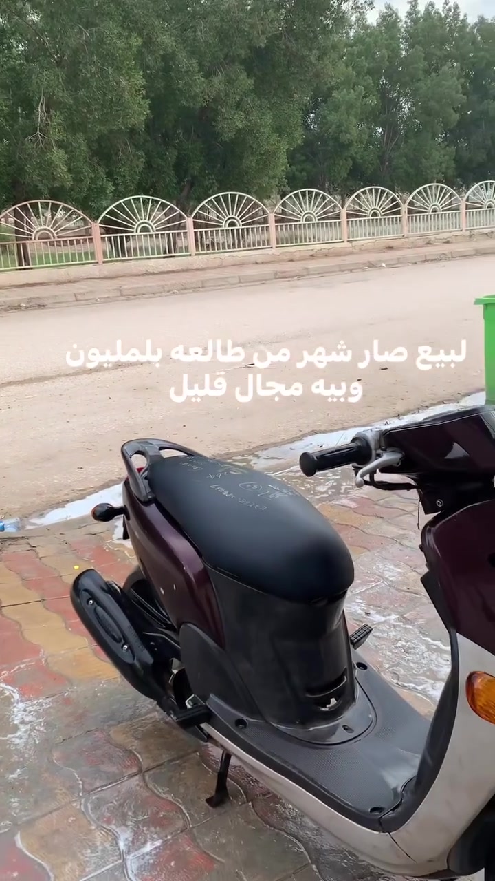 بدون وصف • هاتف فقط