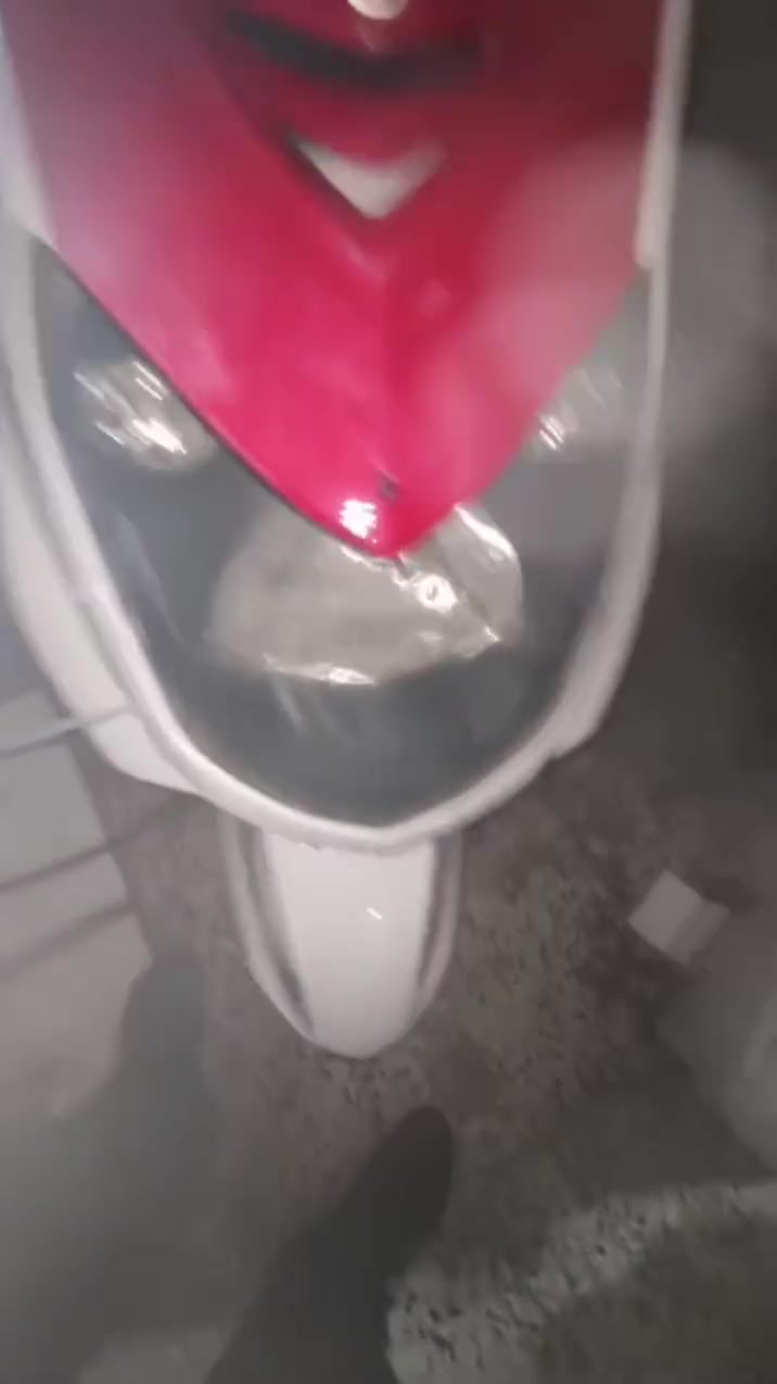 سكنس فحل • كوري • اوراق كامله