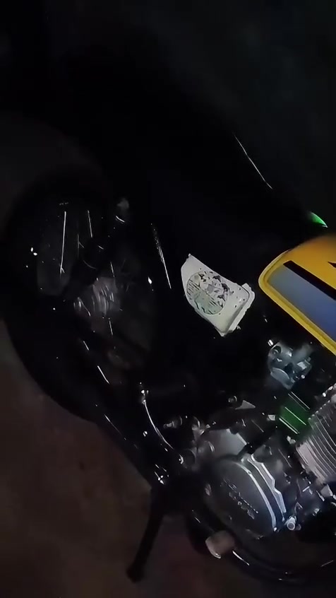 سيجي • مكفوله • بدون راصطه