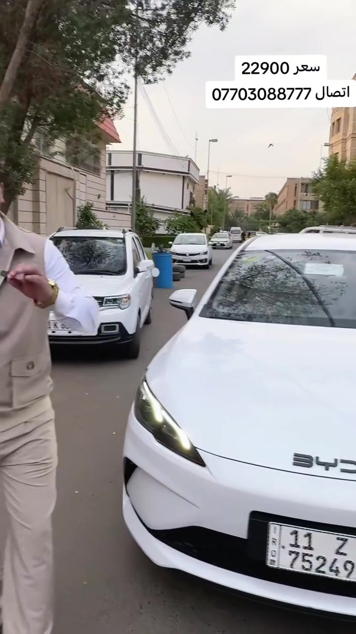 بي وايدي سيل 5 • ٢٠٢٥ • شارع فلسطين