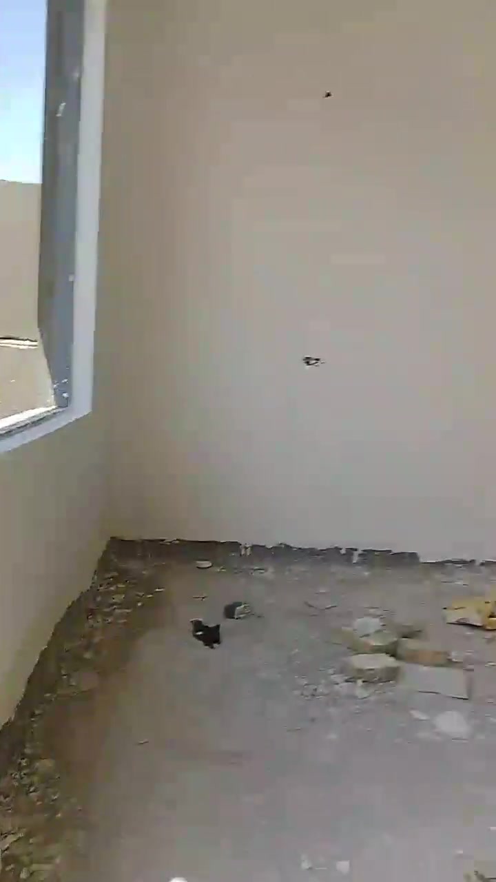 سلام عليكم استاذ متفرغ لابخ سمنت جص بورك ناعمه خشنه مصاطر كبان  ماستك زفت شغل درجه اوله بليوميه مكطوعه علمتر متفرغ هذه رقمي***********
