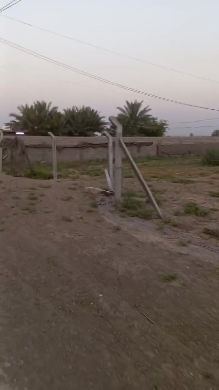 دونم • السلاميات • عقد ١١٧