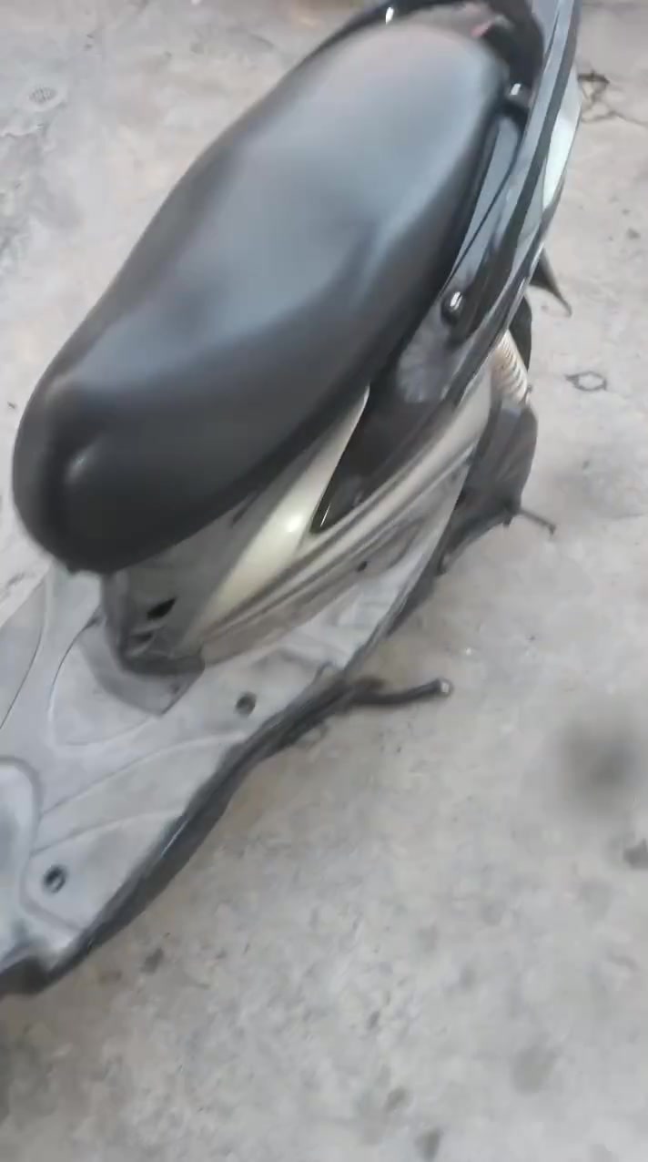 سكنس فحل نوزل ***********
