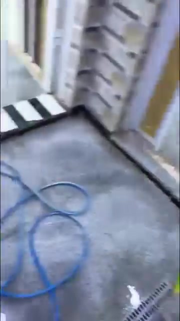 المدينه • مشطب • ١غرفة
