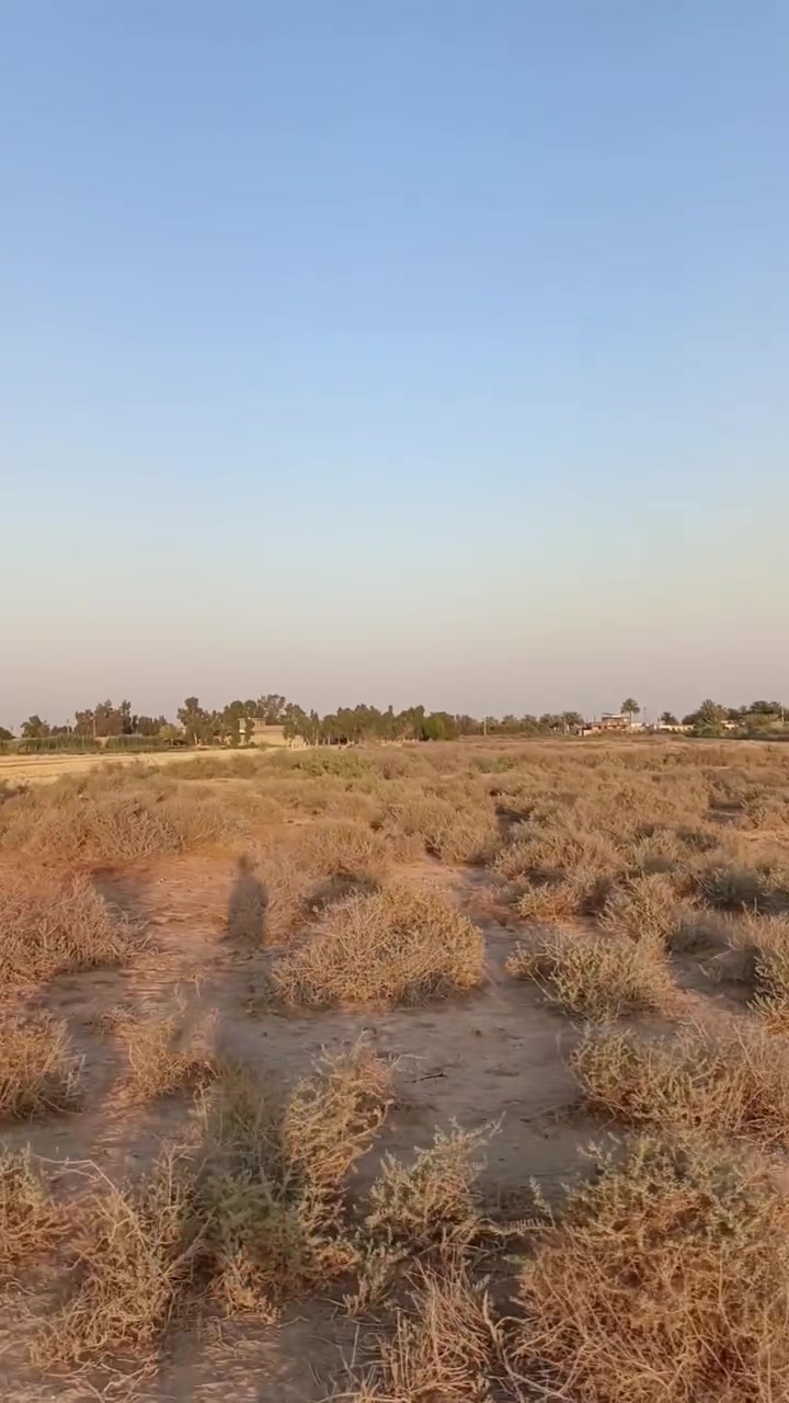 المكان بغداد ناحية الوحدة طريق الكوت مقابيل سيطرة اللج الاولى من جهة بغداد تبعد عن الشارع العام دقيقتين تابعة لبغداد ( منطقة الحميضة)
ارض زراعية عقد 117 ب اسمي مجدد . المساحة 35 دونم
تصلح سكن وزراعة
ماء كهرباء واصل كلشي تبليط وجه شارع ومدرسة قريبة ومحلات 
واجهة الارض ٨٠ متر الارض غير مزروعة 

‏‪***********‬‏
المكان بغداد ناحية الوحدة طريق الكوت مقابيل سيطرة اللج الاولى من جهة بغداد تبعد عن الشارع العام دقيقتين تابعة لبغداد ( منطقة الحميضة)

نص مكتوب في الصور:
- أسواق علي قاسم Google Maps
- أسواق علي قاسم
- Google Maps