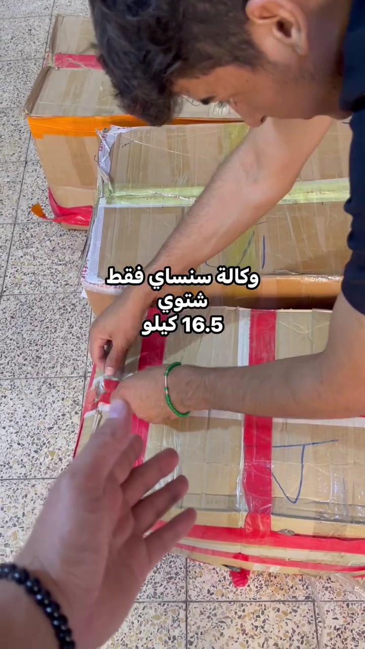 سنساي أطفال • شتوي • ١٦٫٥ كيلو