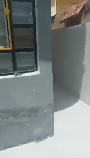 بيت للبيع المساحه 120يتكون البيت من غرفتين وهول ومطبخ واستقبال وصحيات البيت كامل مايعزو شي وصل بلديه بي العنوان العبور متخل الثاني قرب صيدلية زينب خدمات كامله السعر على الخاص او عل رقم ***********
