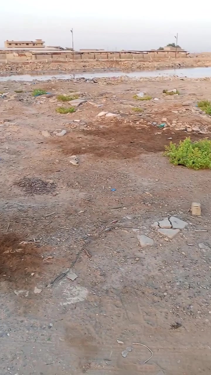السلام عليكم قطعه 150متر للبيع مخدومه مي مجاري كهرباء والتبليط بصفها سعر مناسب عقد زراعي اتصل على الرقم ***********
