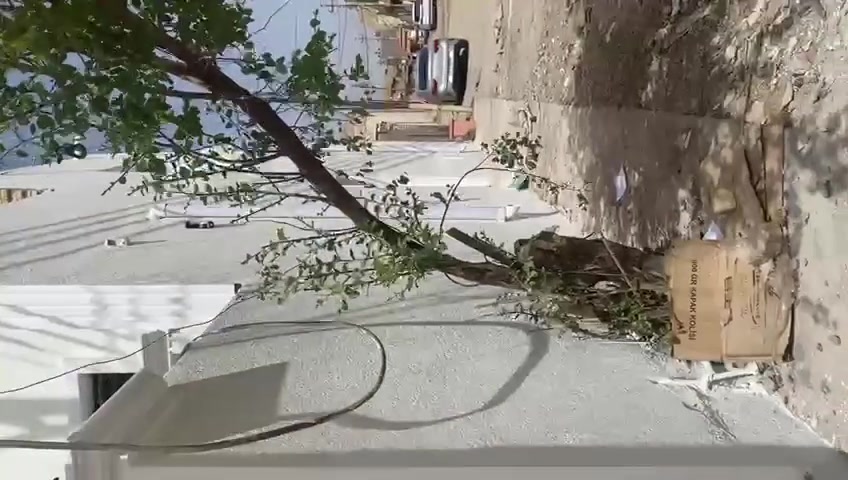 بسم الله توكلنا على الله
بيت للبيع      ركن زراعي   سند  ٢٥   حق التصرف
بدايه دوانم دور النفط  يبعد الف متر على بيوت النفط موضح  بالفيديو 
 المساحه ١٠٥ متر بيت مربع  ركن على فرعين 
مكانه مرتب والجيران بعد ارتب يحتوي الطابق الاول على استقبال ومطبخ  وصاله  وغرفه وصحيات والطابق الثاني صاله وغرفتين عوزهم فقط سقف  البيت عكاده بس شغل يخبل ونضيف وتجي وتشوفه السعر 100قفل

الاتصال على رقم ***********
