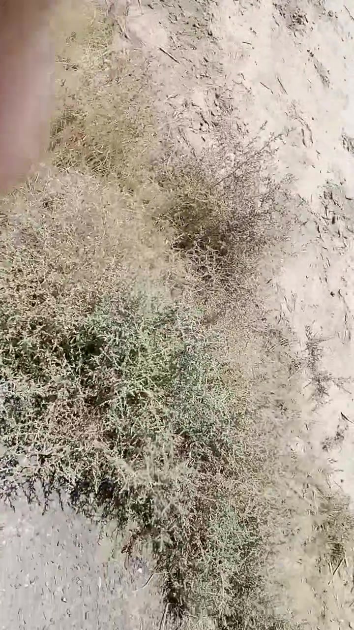 قطعة ارض للبيع ركة حجي اسهيل طابو زراعي سند 25 قرب المدينة الرياضية وقريبة على المطحنة طريق دله عباس مساحة 100 متر 5 في 20 سعر 5 ونص مليون بيهه مكاتبة وبيهه سند بكل دوانم الك حصة بيهه هاتف ***********
