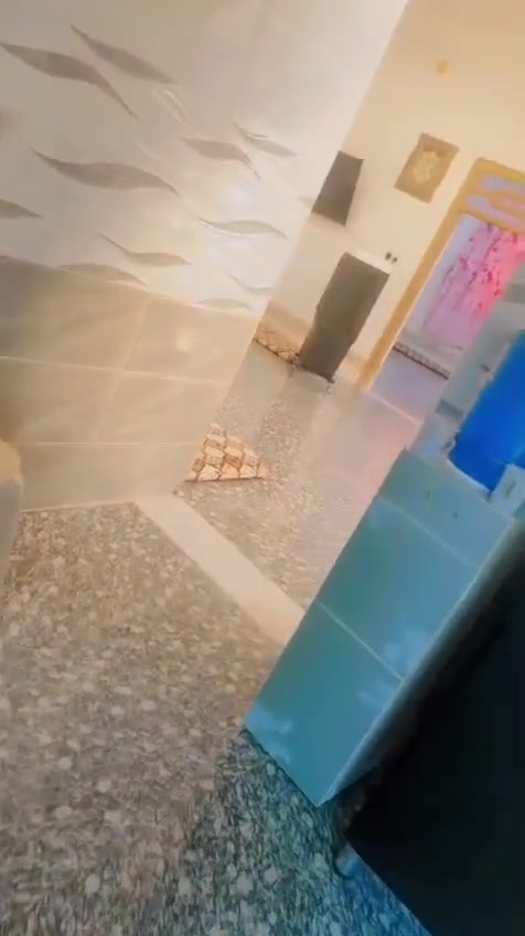 يوجد بيت الايجار العنوان سبعه كيلو مكون من ٤غرف نوم وصاله ومطبخ وحمام وصحيات وديوان وطرمه السعر 250التفاصيل اتصل على الرقم ***********
