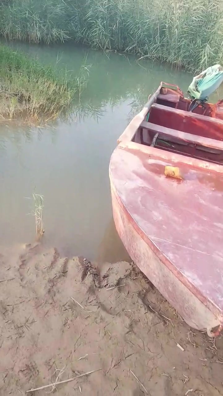 سلام عليكم  مكينه دهستو 30 لبيع هيه وبلمه سعر  مليون وثلثميه بيه مجال حك جيه مكاني ديالى الخالص تصل بيك خير ودلل ***********

