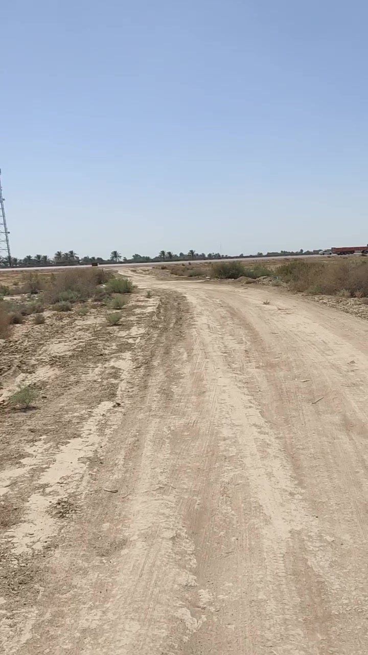 بابل الشوملي • ١٢ دونم • سند مستقل