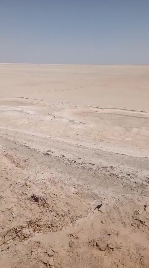 ارض للبيع 1000دونم محافظة ميسان العماره بين علي الشرقي وبين علي الغربي منطقة هور الخراب تصلح للدوش والبحيرات السمكيه فقط
 اتصال على الخط***********
واتساب ***********
