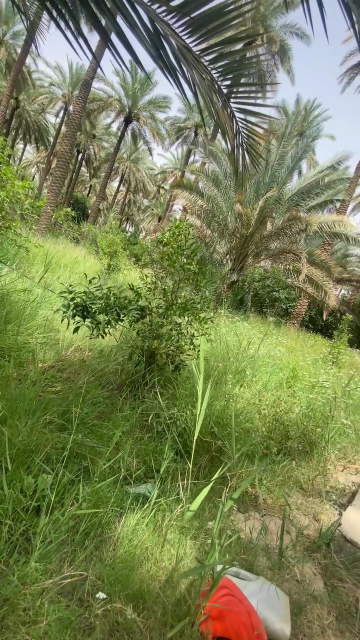 بستان • كربلاء الحسينية • ١٨٧٥م