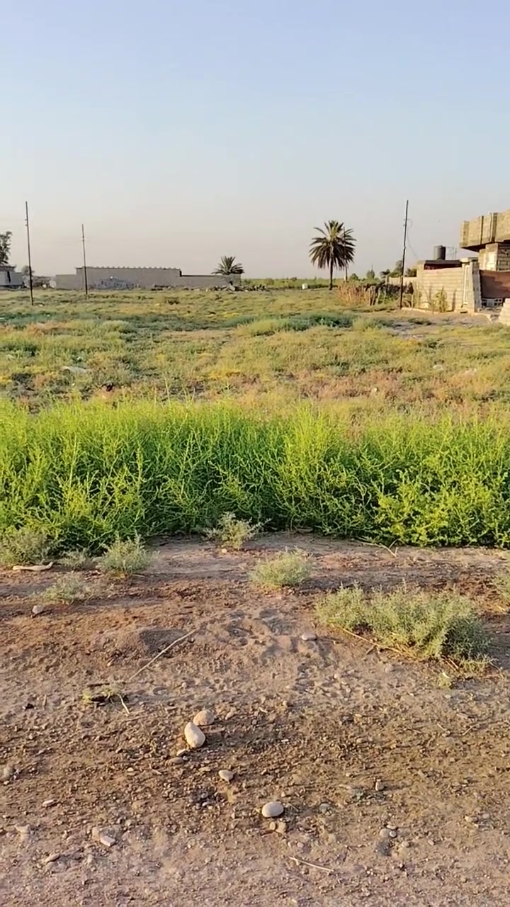 السلام عليكم قطع للبيع سعر مناسب مكان قرية السيح مقابيل المرادية كل قطعه 200 متر واجه 10 نزال 20 كل قطعه شارعين اسعار مناسبه مابقه عندي بس 8 قطع لحك خذلك قطعه للاستفسار ***********
