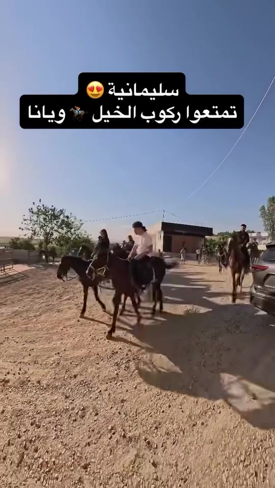 سليمانية • كل خميس • سياحة