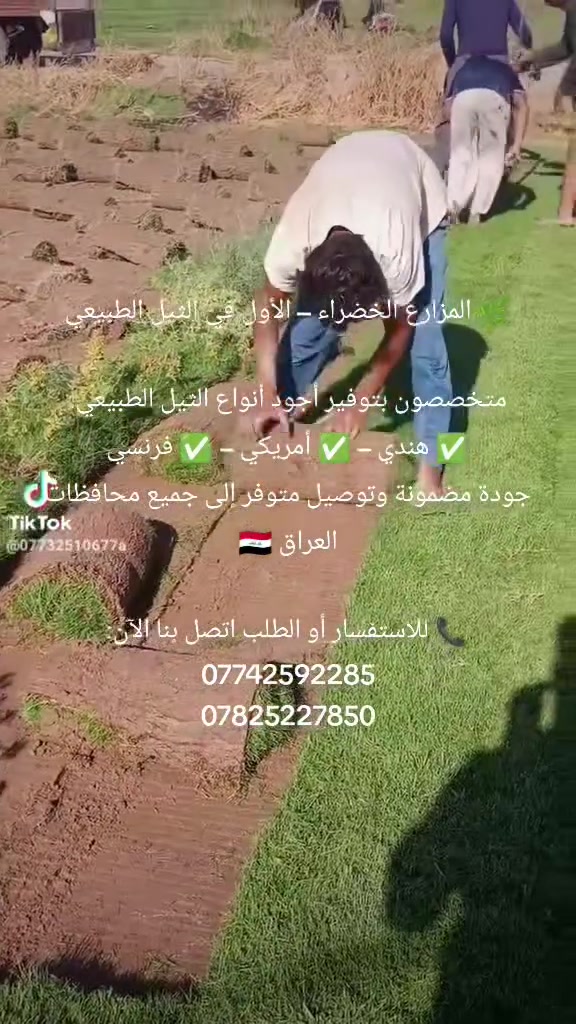 بستنة • تنسيق حدائق • العراق