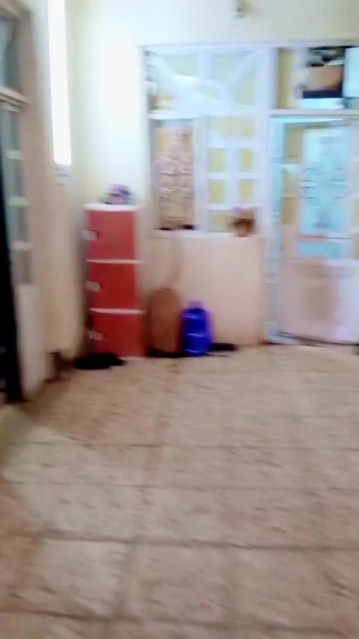 دار ١٣٦ متر النجف الاشرف
المكرمه شارع الادله الجنائيه 
يحتوي ع ٣ غرف نوم الطابق الاول صب كونكريت 
والطابق الثاني عكاده 
السعر المطلوب ١٣٠ مليون قابل للتفاوض 
للاستفسار ***********
