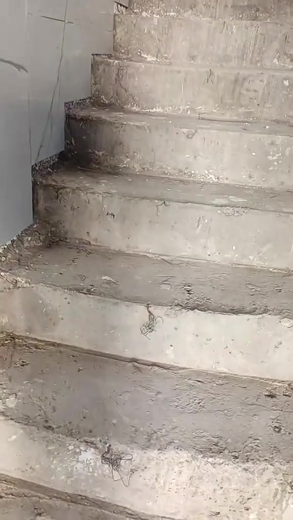 سيراميك • متفرغ • الناصريه مركز