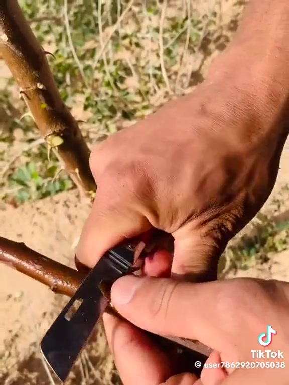راسلني واتساب
***********
