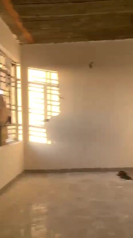 سلام عليكم  كادر لبخ جص من #الموصل شغل عالمساطر المجموعه تكون من5واسطوات و 5عمال اتريد علينه المصرف تريد عليك طباخنه ويانه  البيت يطول عدنه اكثر شي ثلت تيام من فضل الله وين تريد اشوفك شقلي اني حاضر *********** ***********/ الخاص مفتوح،//موجود واتساب//  ومن الله التوفيق
