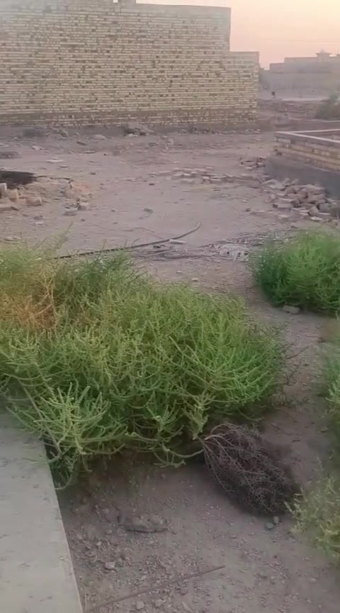 قطعه للبيع مقابيل حي منصور جهت السجه

مساحته  600

استفسار. 

 ***********
