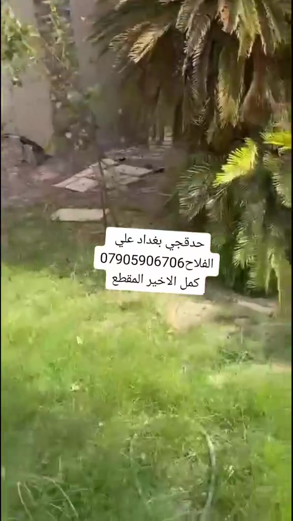 من فضل ربي اليوم غير شكل صارت ويانه الحديقه 
نلتزم شهريه وادامه الحديقه وال مرشات وال نافورات والثيل وال ورد ولاين ***********
