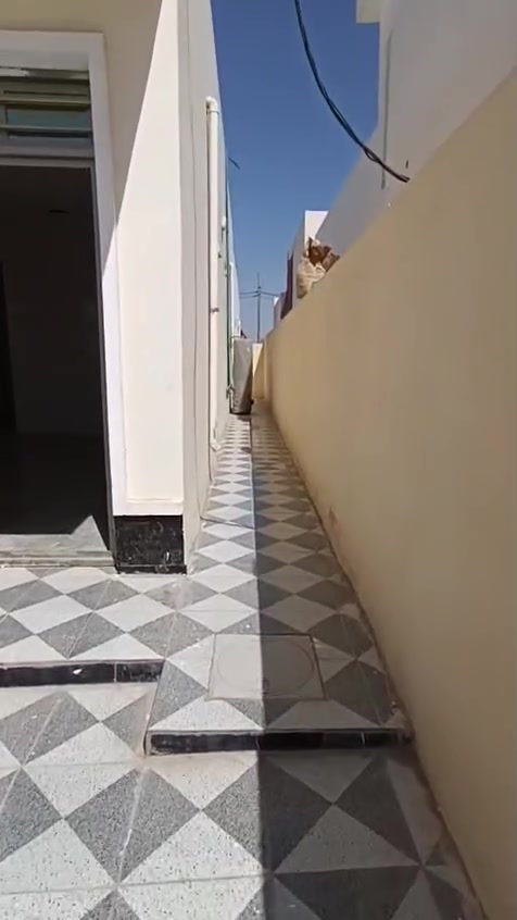 اليرموك • ٢٥٠م • تشطيب درجه اولى