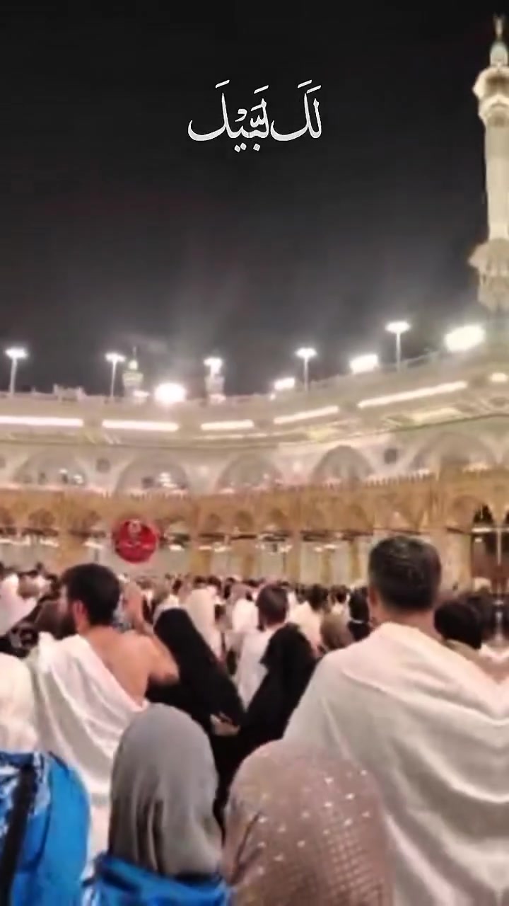✨ بسم الله الرحمن الرحيم ✨ 
( وُآتـمـوُ آلَحًج والعمـرة لله) 
عمره المولد النبوي موعد الرحله الاولى8/14براً و8/15طيران 

مستمرين باستلام جوازات الاخوة الراغبين باداء مناسك عمـرة شهـر ربيع الاول الى ꧁꧂ قبلة الأرواح وملاذ السـلام ꧁꧂ حيث تتواجد الروحانيـة في كل خطوة **
✈️ رحلات عمرة شهر ربيع الاول مع 
🔵🟡  مكتب القبه الخضراء للحج والعمره  🔵.         
بـــــــــراً🚌🚌🇸🇦🇮🇶 
وجواً 🛬✈️🇮🇶🇸🇦
💥احجز عمرتك المميزة معنا 
-----------------------------. 
سارع بتسليم جوازك قبل نفاذ المقاعد 

🔺 يسعدنا تواصلكم معنا ويمكنكم الحجز عن طريق الأتصال بالارقام المرفقة ادناه. 

📌 او زيارة موقع المكتب الفرع الرئيسي :
ديالى _بعقوبة _الرحمه مقابل منتزه الرحمه 

‏
‏ 📞***********
‏📞077‪18831753

ـــــــــــــــــ
🟡الفرع الثاني/ منصوريه الجبل قرب مركز شرطه المنصوريه بإدارة الحاجه ام ليث الدليمي 

دقـــة ومصداقيـة في المواعيد 
شكرا لكل من رافقنا في رحلاتنا السابقه 
.. كنتم خيـر رفيـق الى البيـت العتيـق. 
ـــــــــــــ
 🕋  خدمـة الحـاج شـرف لنـا 🕋
المتعهد أبو يوسف الاوسي
