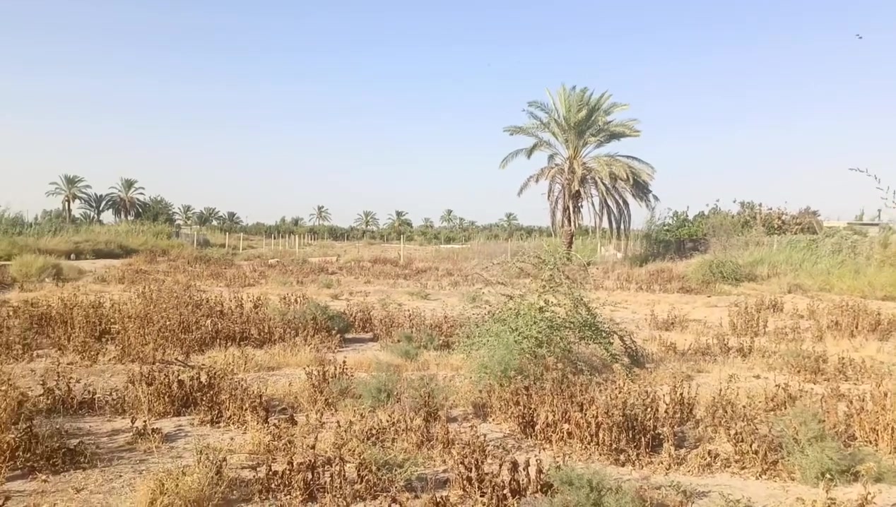 قطع اراضي للبيع باسعار مناسبه بكافه المساحات 600 300 900 متر الموقع خلف بيت مجمع رحمه نهر الزور استفسار على الرقم ***********
