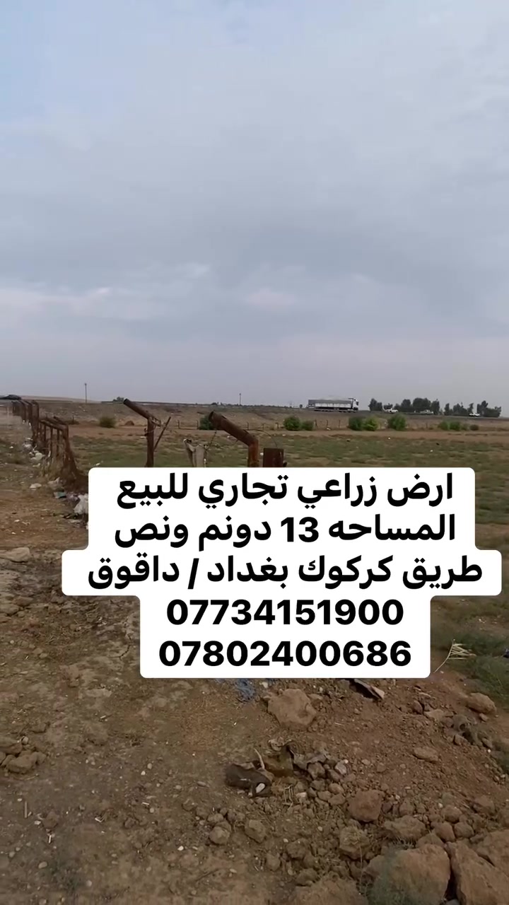 ارض زراعية تجاري • ١٣ دونم ونص • دافوق