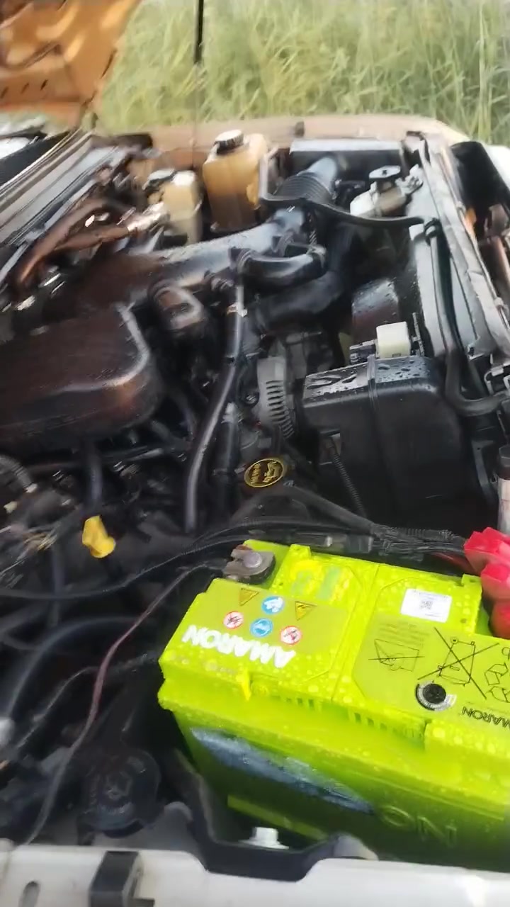 للبيع فورد F350 موديل 2008 محرك بانزين عشره بستم الحجم 6800 رقم اربيل بأسمي شرط التحويل السياره بيه منظومة غاز خزان 120 لتر غرفة السياره مغلفه جلد شغل بغداد النواب تخم تاير صدر گير محرك كهربائيات كفاله سنتر لوك ويل السياره مطلي كروم تكيه تفصال احلى من البلاد قطرة صبغ مابيه السياره بعده على وضع الشركه برغي نقص مابيه جاهزه من الدعاميه للدعاميه مكان السياره واسط مركز مدينه *********** السعر 125
