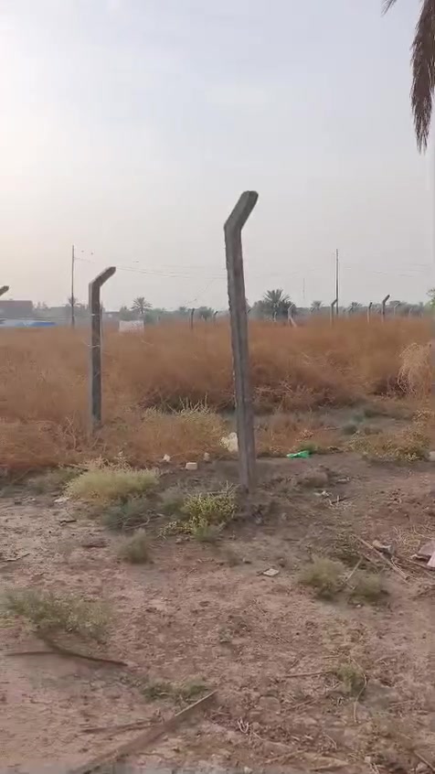 الحمزه الغربي • أرض • شراي بالخدمة