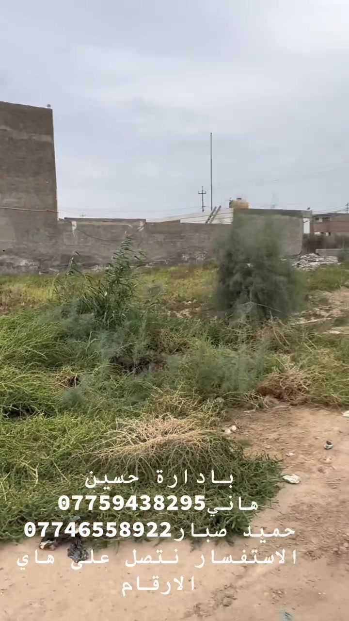 أرض • اتصال • بدون تفاصيل