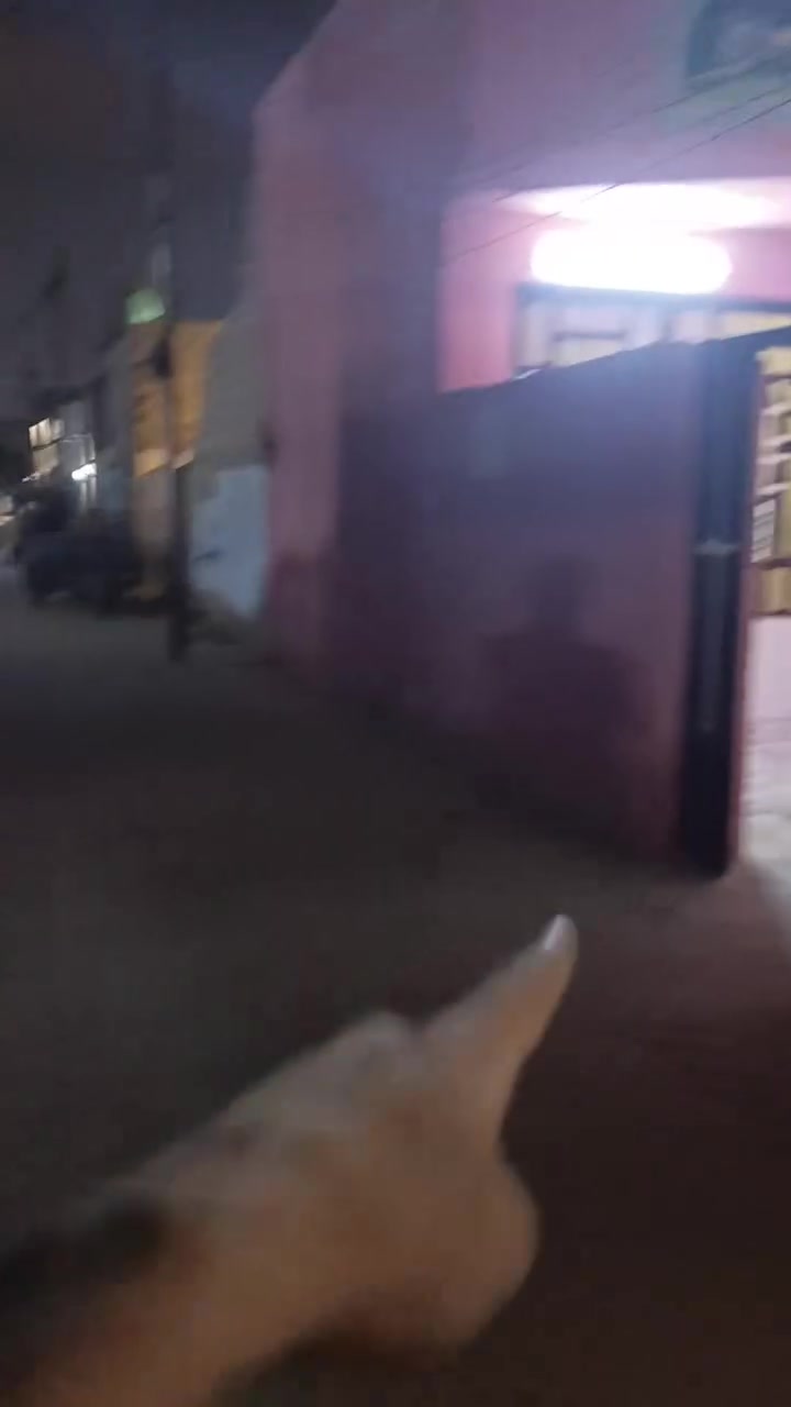 سبع قصور • ١٠٠م • طابو صرف