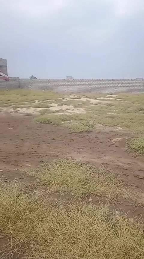 سند زراعي • ماء وكهرب • ٨٠٠م